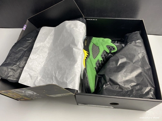 Cheap 5 CK6631-307 Air Ducks Oregon SE Jordan 0809